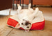 SERENGETI DOG BED - SPLASHED WHITE LUST, Beds - Bones Bizzness