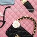 SHOPPING IN PARIS ZIPPER DOG CARRIER