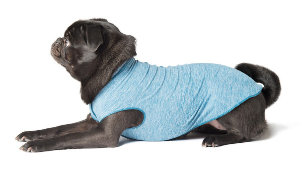 OCEAN BLUE HEATHER SUN SHIELD DOG TEE, Sweaters - Bones Bizzness