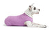 VIOLET HEATHER SUN SHIELD DOG TEE, Sweaters - Bones Bizzness