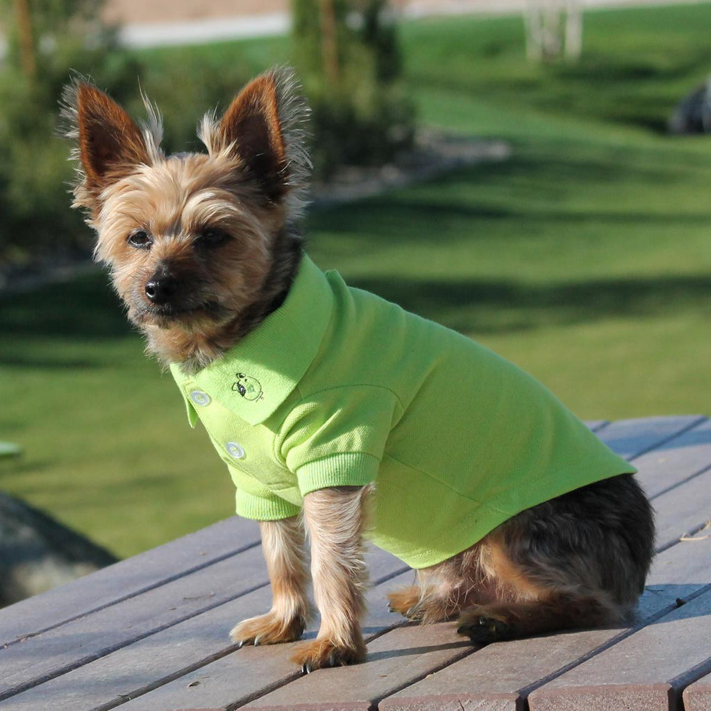 LIME GREEN FLASH POLO DOG SHIRT, Shirts Tanks & Tees - Bones Bizzness