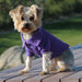 ULTRA VIOLET POLO DOG SHIRT, Shirts Tanks & Tees - Bones Bizzness