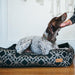 SOLSTICE LOUNGE DOG BED - MUSTARD/PEBBLE GREY