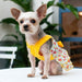 SOUTHERN BELLE DOG DRESS