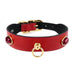 SOUTH SEAS DOG LEAD IN FERRARI RED & GOLD, Leash - Bones Bizzness