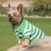 GREEN & WHITE POLO DOG SHIRT, Shirts Tanks & Tees - Bones Bizzness