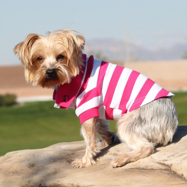 PINK POLO DOG SHIRT, Shirts Tanks & Tees - Bones Bizzness