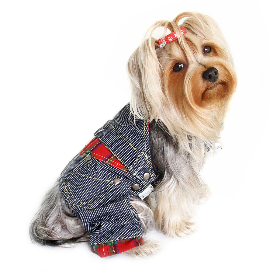 ADORABLE STRIPY DENIM DOG OVERALLS, JUMPER - Bones Bizzness