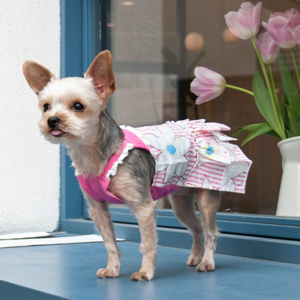 SUMMER FLOWER DOG DRESS