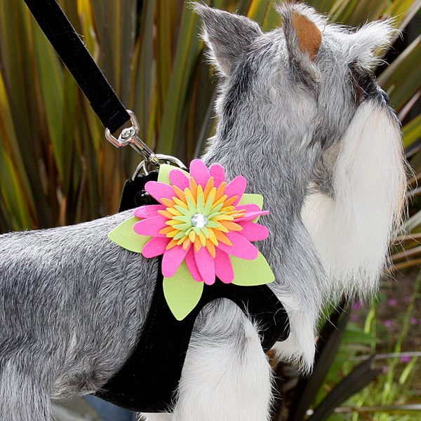 ISLAND FLOWER CRYSTAL STEP-IN HARNESS- (11 COLORS), Harness - Bones Bizzness