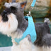 TIFFI BLUE PLAIN ULTRASUEDE STEP-IN DOG HARNESS - (42 COLORS), Harness - Bones Bizzness