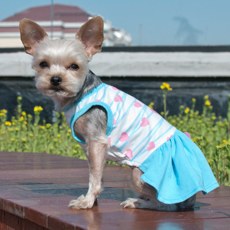 SWEETHEART DOG DRESS, Dress - Bones Bizzness