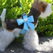 TAIL BOW HEART STEP-IN DOG HARNESS - (53 COLORS), Harness - Bones Bizzness