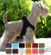 PLAIN ULTRASUEDE STEP-IN DOG HARNESS- (42 COLORS), Harness - Bones Bizzness