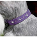 CRYSTAL PAWS ULTRASUEDE DOG COLLAR BY SUSAN LANCI - (53 COLORS), Collars - Bones Bizzness