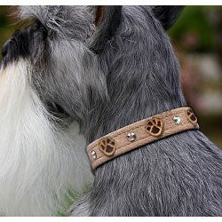 SUSAN LANCI EMBROIDERED PAWS SWAROVSKI CRYSTAL DOG COLLAR - (42 COLORS), Collars - Bones Bizzness