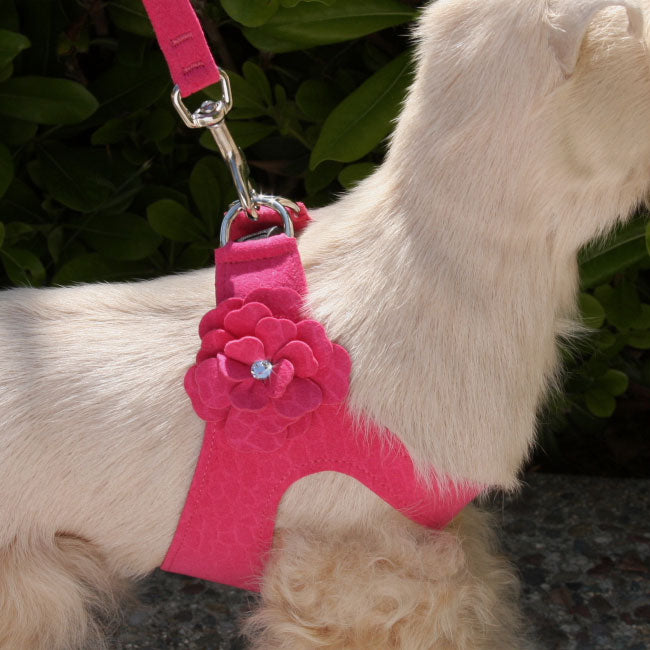 TINKIE'S GARDEN STEP-IN DOG HARNESS  - 42 COLORS, Harness - Bones Bizzness