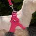 TINKIE'S GARDEN STEP-IN DOG HARNESS  - 42 COLORS, Harness - Bones Bizzness