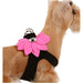 WATER LILY CRYSTAL STEP-IN DOG HARNESS - BLACK & PERFECT PINK, Harness - Bones Bizzness