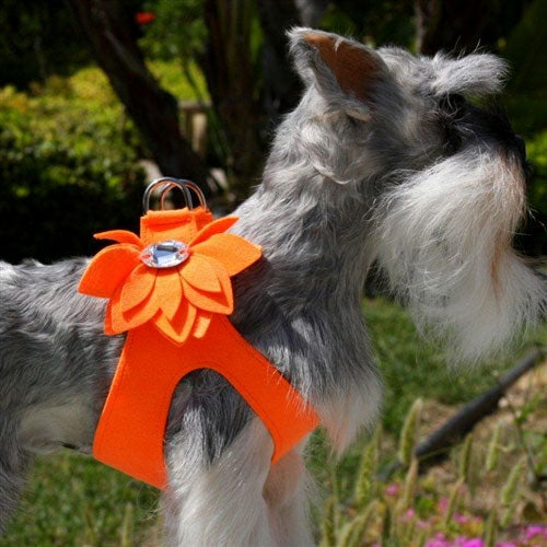 WATER LILY CRYSTAL STEP-IN DOG HARNESS- ELECTRIC ORANGE, Harness - Bones Bizzness