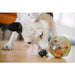 WOBBLE BALL DOG TOY, Toys - Bones Bizzness