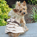 CAMEL WOOL FUR TRIMMED DOG HARNESS & COAT W/ LEASH SET, Coats - Bones Bizzness