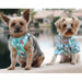 WRAP AND SNAP CHOKE FREE DOG HARNESS - SURFBOARD AND PALMS, Harness - Bones Bizzness