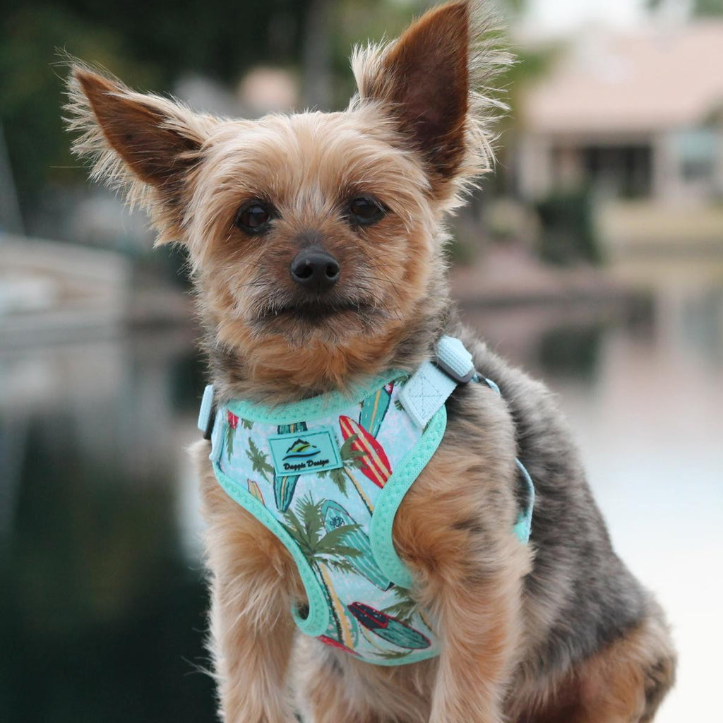 WRAP AND SNAP CHOKE FREE DOG HARNESS - SURFBOARD AND PALMS, Harness - Bones Bizzness