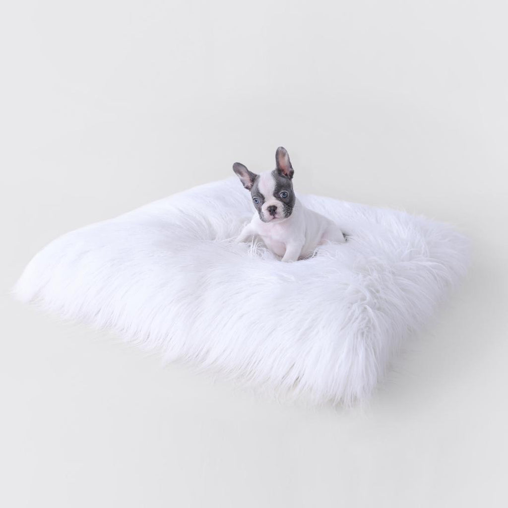 THE HIMALAYAN YAK DOG MAT - WHITE