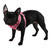 VIVIEN PUPPIA  DOG HARNESS A, Harness - Bones Bizzness